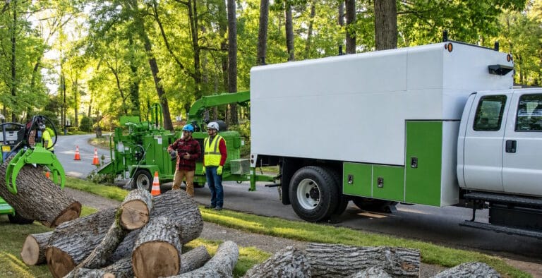 Doing Tree Cleanup